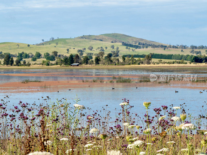 Dangar的泻湖景观- Uralla，新南威尔士州